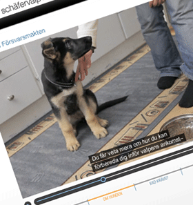 E-learning for dog co-owners
